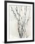 Watercolor Branches II-Samuel Dixon-Framed Art Print