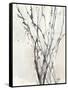 Watercolor Branches II-Samuel Dixon-Framed Stretched Canvas