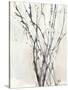 Watercolor Branches II-Samuel Dixon-Stretched Canvas