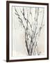 Watercolor Branches II-Samuel Dixon-Framed Art Print