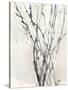 Watercolor Branches II-Samuel Dixon-Stretched Canvas