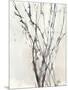 Watercolor Branches II-Samuel Dixon-Mounted Art Print