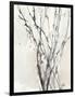 Watercolor Branches II-Samuel Dixon-Framed Art Print