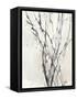 Watercolor Branches II-Samuel Dixon-Framed Stretched Canvas