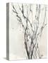 Watercolor Branches II-Samuel Dixon-Stretched Canvas