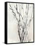 Watercolor Branches II-Samuel Dixon-Framed Stretched Canvas