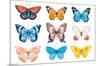 Watercolor Butterflies-Trends International-Mounted Poster