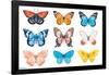 Watercolor Butterflies-Trends International-Framed Poster