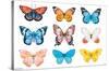 Watercolor Butterflies-Trends International-Stretched Canvas