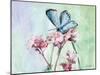 Watercolor Butterfly I-LuAnn Roberto-Mounted Art Print