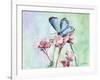 Watercolor Butterfly I-LuAnn Roberto-Framed Art Print