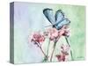 Watercolor Butterfly I-LuAnn Roberto-Stretched Canvas