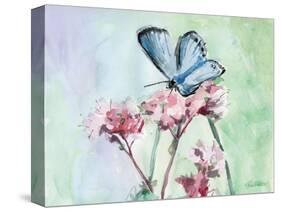 Watercolor Butterfly I-LuAnn Roberto-Stretched Canvas