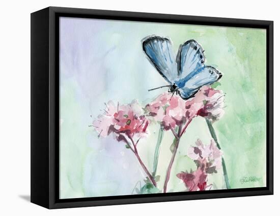 Watercolor Butterfly I-LuAnn Roberto-Framed Stretched Canvas