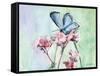 Watercolor Butterfly I-LuAnn Roberto-Framed Stretched Canvas