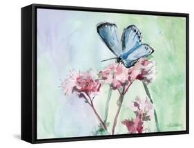 Watercolor Butterfly I-LuAnn Roberto-Framed Stretched Canvas