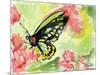 Watercolor Butterfly II-LuAnn Roberto-Mounted Art Print