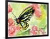 Watercolor Butterfly II-LuAnn Roberto-Framed Art Print