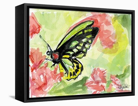 Watercolor Butterfly II-LuAnn Roberto-Framed Stretched Canvas