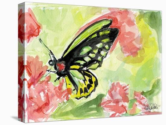 Watercolor Butterfly II-LuAnn Roberto-Stretched Canvas