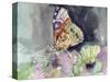 Watercolor Butterfly III-LuAnn Roberto-Stretched Canvas