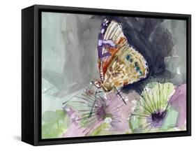 Watercolor Butterfly III-LuAnn Roberto-Framed Stretched Canvas
