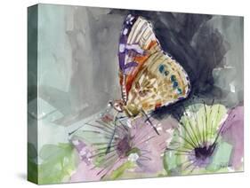 Watercolor Butterfly III-LuAnn Roberto-Stretched Canvas