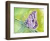 Watercolor Butterfly IV-LuAnn Roberto-Framed Art Print