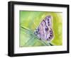 Watercolor Butterfly IV-LuAnn Roberto-Framed Art Print