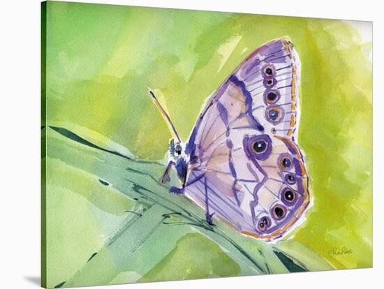 Watercolor Butterfly IV-LuAnn Roberto-Stretched Canvas