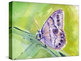 Watercolor Butterfly IV-LuAnn Roberto-Stretched Canvas