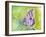 Watercolor Butterfly IV-LuAnn Roberto-Framed Art Print