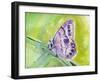 Watercolor Butterfly IV-LuAnn Roberto-Framed Art Print