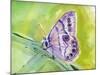 Watercolor Butterfly IV-LuAnn Roberto-Mounted Art Print