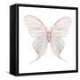 Watercolor Butterfly-Eisfrei-Framed Stretched Canvas