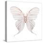 Watercolor Butterfly-Eisfrei-Stretched Canvas