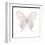 Watercolor Butterfly-Eisfrei-Framed Art Print