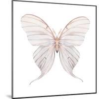 Watercolor Butterfly-Eisfrei-Mounted Art Print