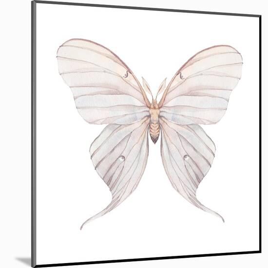 Watercolor Butterfly-Eisfrei-Mounted Art Print