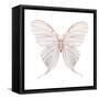 Watercolor Butterfly-Eisfrei-Framed Stretched Canvas