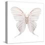 Watercolor Butterfly-Eisfrei-Stretched Canvas