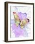 Watercolor Butterfly-Sheldon Lewis-Framed Art Print