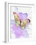 Watercolor Butterfly-Sheldon Lewis-Framed Art Print