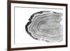 Watercolor Bw Agate-Susan Bryant-Framed Premium Giclee Print