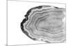 Watercolor Bw Agate-Susan Bryant-Mounted Premium Giclee Print