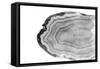 Watercolor Bw Agate-Susan Bryant-Framed Stretched Canvas