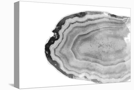 Watercolor Bw Agate-Susan Bryant-Stretched Canvas