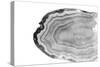 Watercolor Bw Agate-Susan Bryant-Stretched Canvas