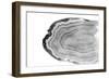 Watercolor Bw Agate-Susan Bryant-Framed Art Print