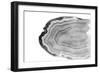 Watercolor Bw Agate-Susan Bryant-Framed Art Print